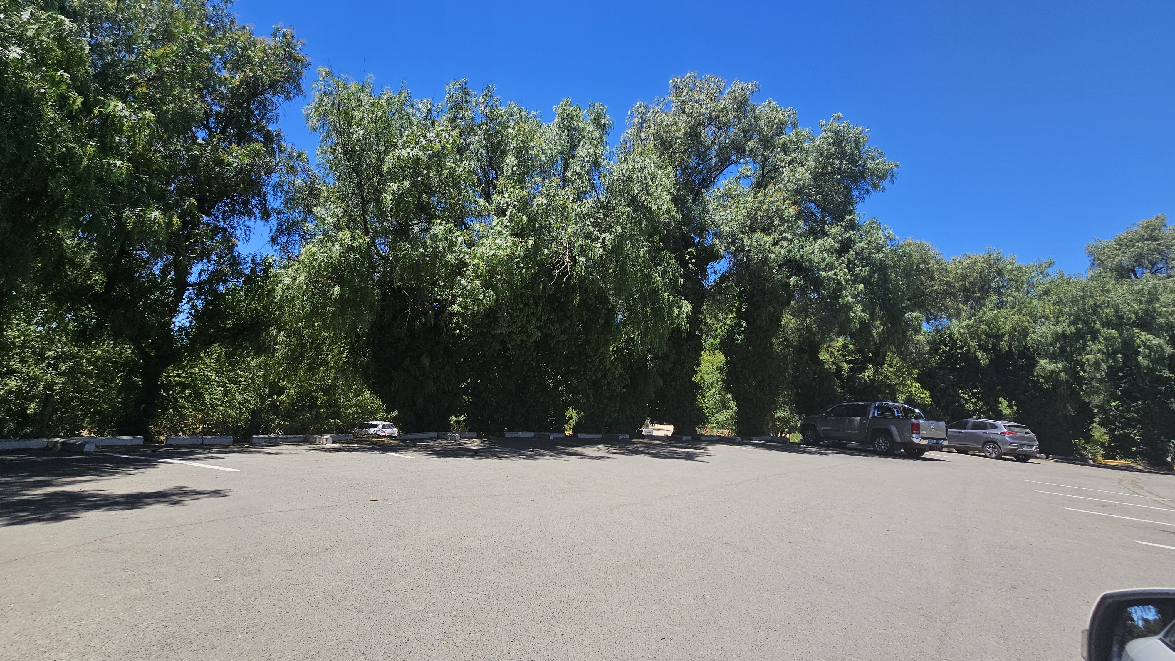 Fotogrfía del amplio estacionamiento del parque